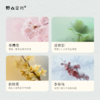 「四时庭」系列-天然植物线香 商品缩略图2