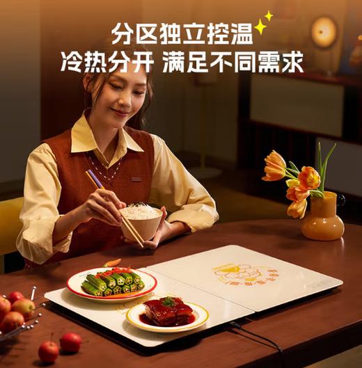 大宇暖菜板WB09 商品图1