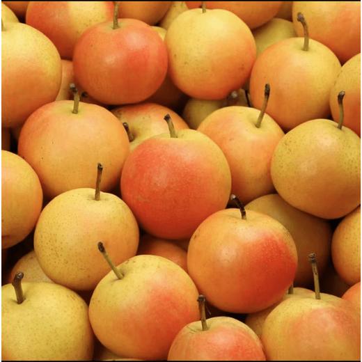 玲儿家小菜 南果梨500g 商品图0