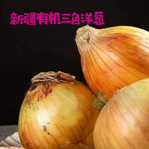 新疆半亩园有机三色拼洋葱（白黄紫） 商品图3