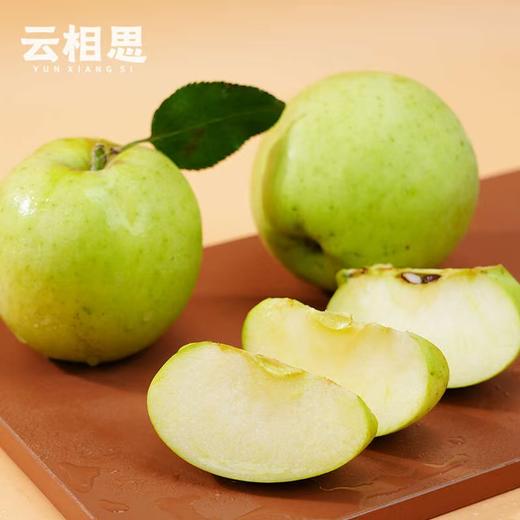 王林苹果新疆 树上熟青森王林青苹果 香甜脆时令鲜果新疆特产 商品图2