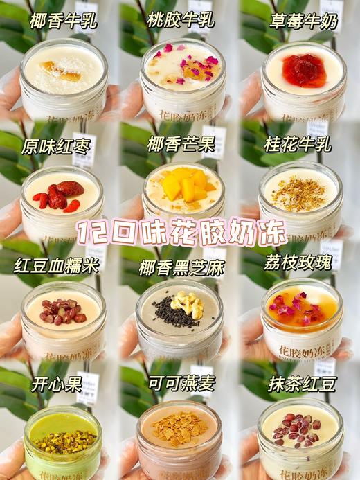 鲜炖花胶奶月卡【4罐*4次】 新口味香浓更有料！日常基础保养 补充胶原蛋白 商品图1