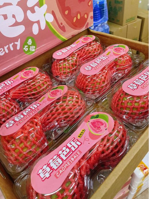 大箱草莓芭乐一箱 商品图1