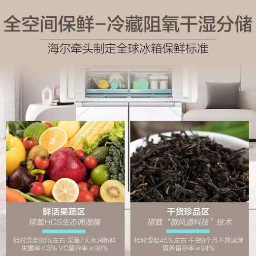 【天津】【海尔】【不含安装】冰箱_法式门超薄零嵌_BCD-485WGHFD1BWGU1 商品图5