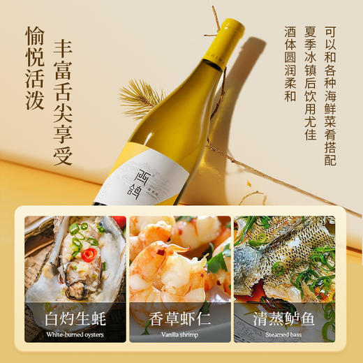 西鸽酒庄 经典霞多丽干白葡萄酒750ml 商品图4