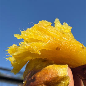 有机瑞香板栗薯&幸福闺薯