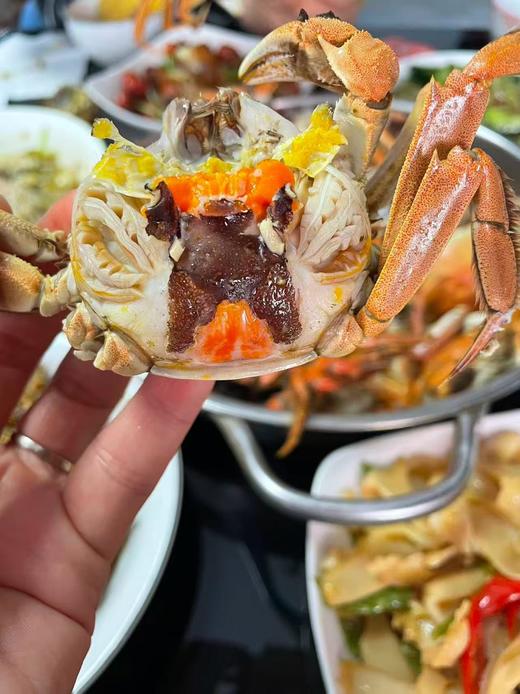 江苏大闸蟹3斤 商品图1