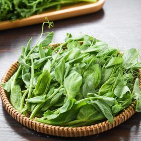 供港豌豆尖 150g/份