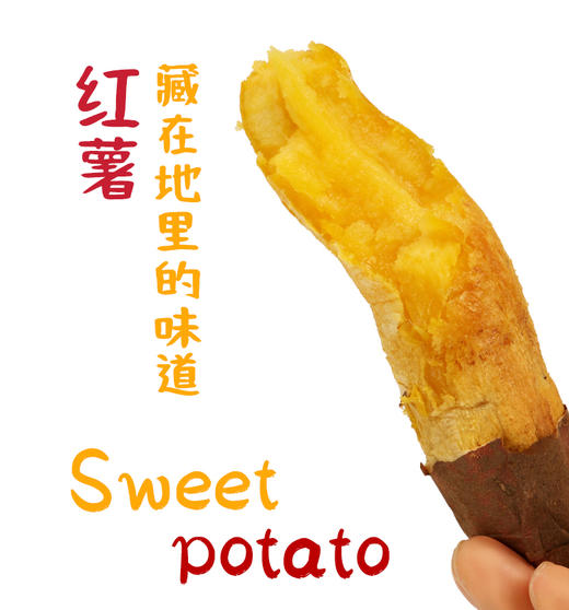 有机瑞香板栗薯&幸福闺薯 商品图5