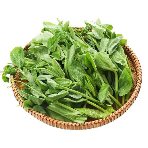 供港豌豆尖 150g/份 商品图2