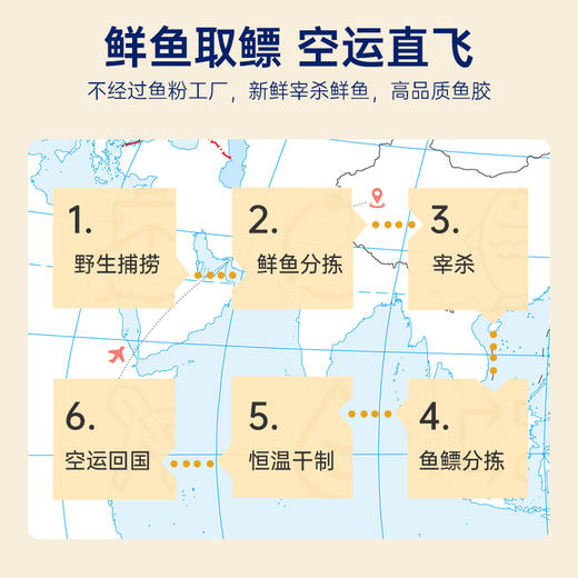 【限时特惠】官栈 6S深海溯源黄花鱼胶150g干花胶礼盒 商品图2