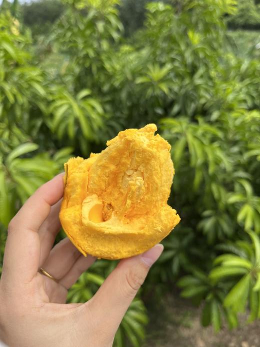 仙桃鸡蛋果 商品图2