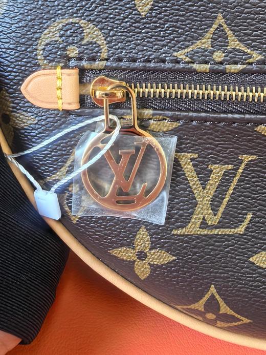 LOUIS VUITTON Loop 经典老花满印链条肩带 涂层帆布拼牛皮饰边 月亮包豌豆包腋下包手提单肩包 女款 棕色 商品图1