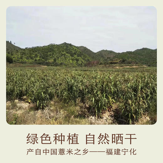 南食召 本色薏仁米 商品图4