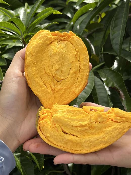 仙桃鸡蛋果 商品图0