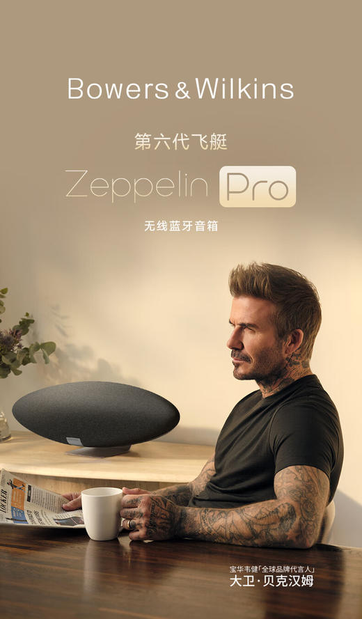 宝华韦健Zeppelin Pro【国家补贴】齐柏林飞艇第6代B&W无线HIFI蓝牙音箱家用智能音响双11推荐 太空灰 商品图0