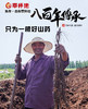 覃怀地—正宗温县垆土老品种铁棍山药 商品缩略图2