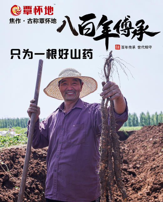 覃怀地—正宗温县垆土老品种铁棍山药 商品图2