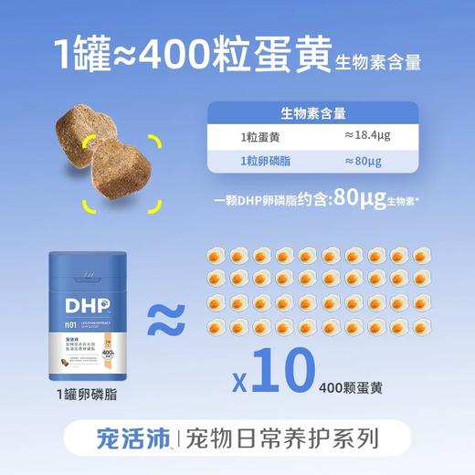DHP宠活沛鱼油蛋黄卵磷脂 商品图2