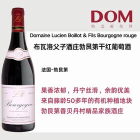 布瓦洛父子酒庄勃⾉第⼲红葡萄酒 Domaine Lucien Boillot & Fils Bourgogne rouge