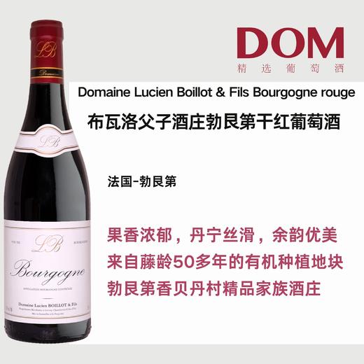 布瓦洛父子酒庄勃⾉第⼲红葡萄酒 Domaine Lucien Boillot & Fils Bourgogne rouge 商品图0