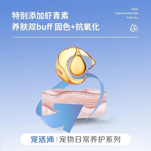 DHP宠活沛鱼油 商品图2