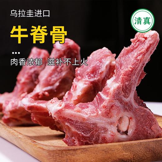 【清真】牛脊骨1500±100g 原料原产国-乌拉圭 商品图0