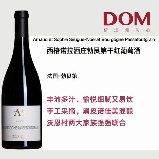 西格诺拉酒庄勃艮第干红葡萄酒 Arnaud et Sophie Sirugue-Noellat Bourgogne Passetoutgrain 商品图0