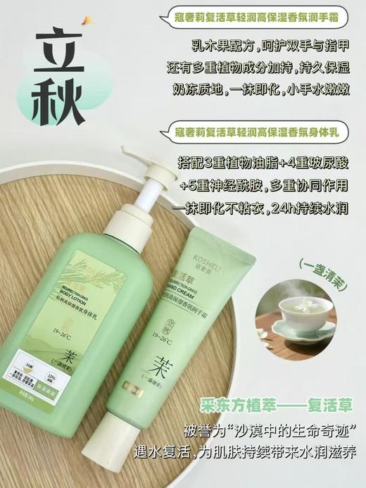 蔻奢莉身体霜（月下清檀）240g 商品图2