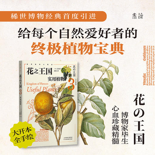 花之王国 ：园艺植物 药用植物 实用植物 珍奇植物  500余种奇特 商品图3