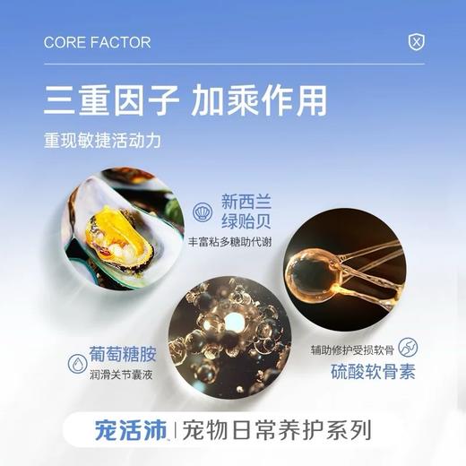 DHP宠活沛鲨鱼软骨素 商品图4