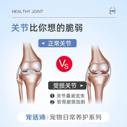 DHP宠活沛鲨鱼软骨素 商品图2