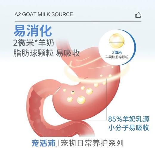 DHP宠活沛羊奶粉 商品图3