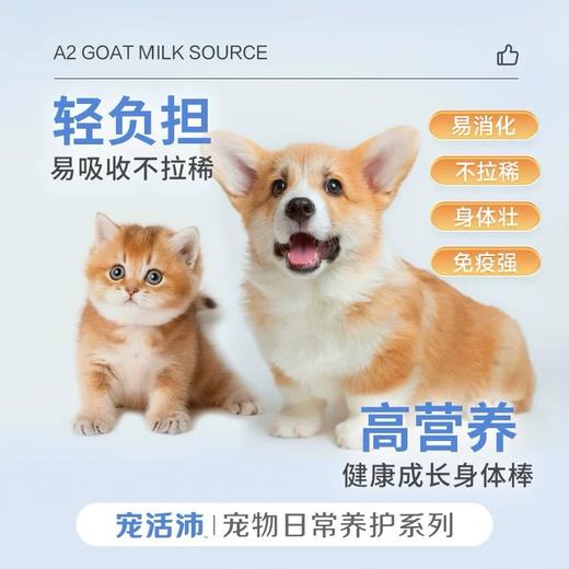 DHP宠活沛羊奶粉 商品图2