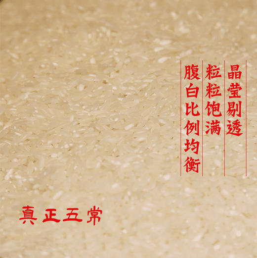 金福蟾五常大米5kg 稻花香二号 商品图2