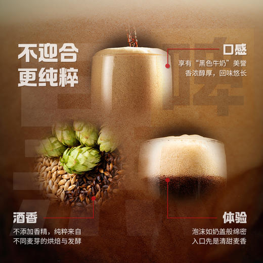 青岛啤酒黑啤500ml*12听 官方直营 整箱包邮 商品图2