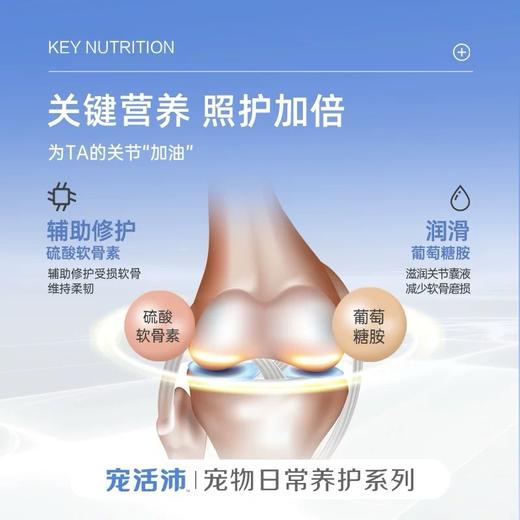 DHP宠活沛鲨鱼软骨素 商品图3