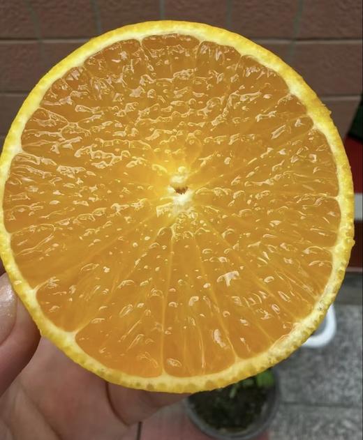 【产地直采】17.8元每件红美人果冻橙  5斤左右（箱） 商品图3