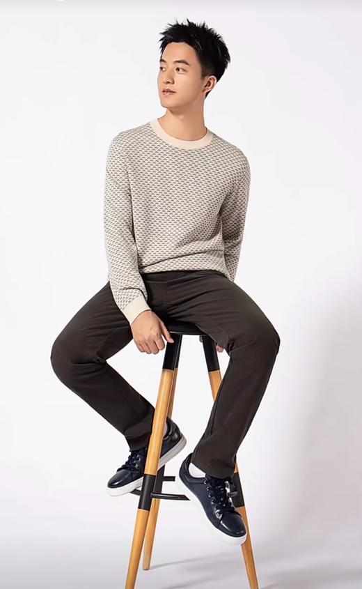 G/Ygoldlion男士毛衣[10.31-11.2][广百北京路店][男服] 商品图0