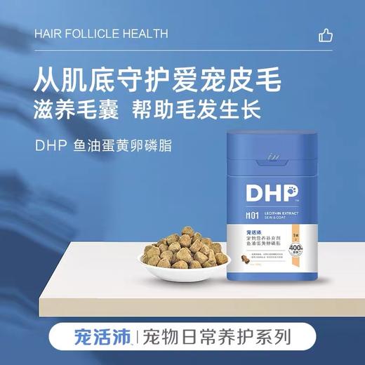 DHP宠活沛鱼油蛋黄卵磷脂 商品图0