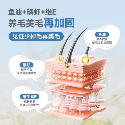 DHP宠活沛鱼油美毛 商品图3