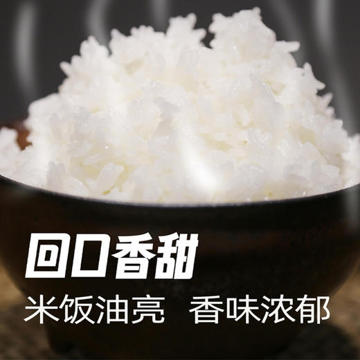 金福蟾五常大米5kg 稻花香二号 商品图1