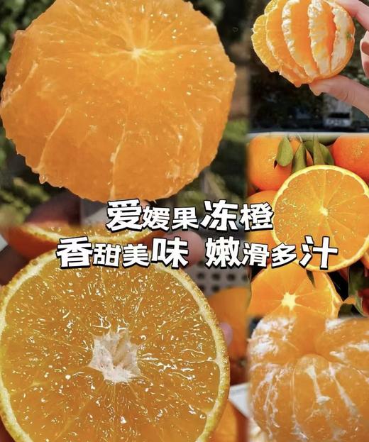 【产地直采】17.8元每件红美人果冻橙  5斤左右（箱） 商品图4