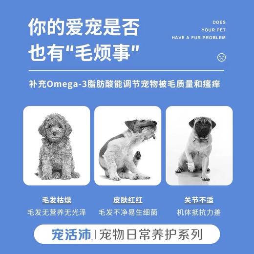 DHP宠活沛鱼油 商品图1