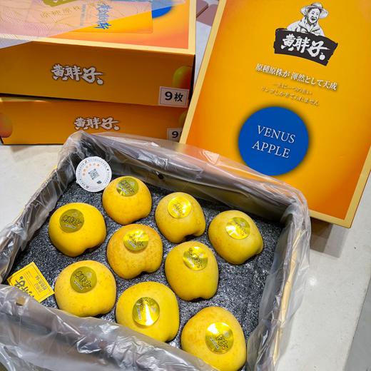 黄胖子黄金维纳斯苹果 脆甜 商品图10