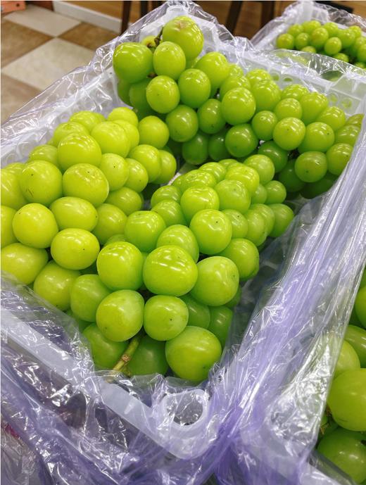 小框晴王葡萄一箱 商品图0