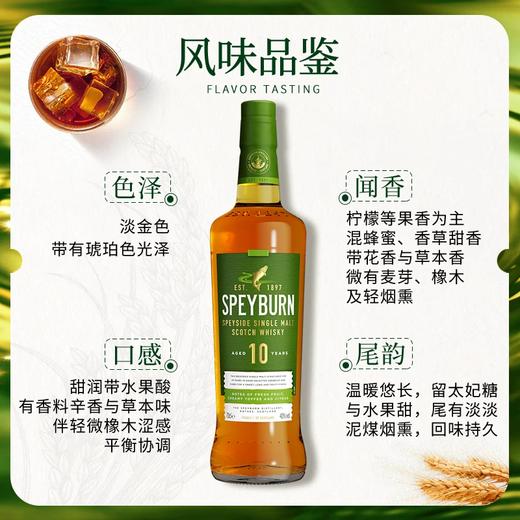 盛贝本10年苏格兰单一麦芽威士忌  原产国：英国 酒精度：40度° 商品图2