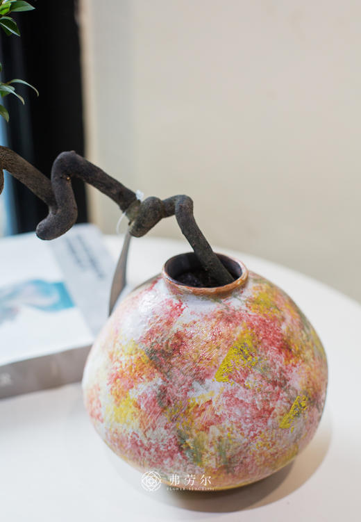 提根紫檀 商品图1