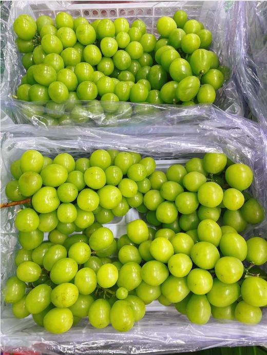 小框晴王葡萄一箱 商品图1