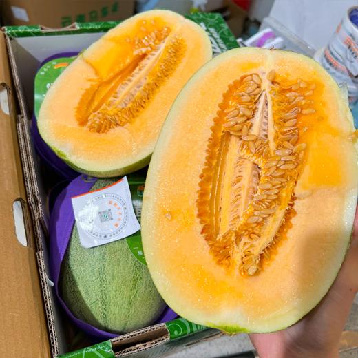 海南哈密瓜 甜脆黄肉 商品图0